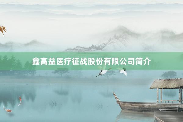 鑫高益医疗征战股份有限公司简介